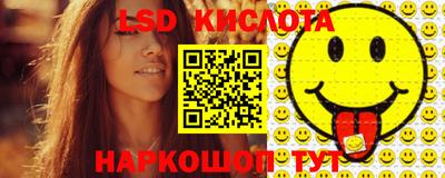 spice Боровичи