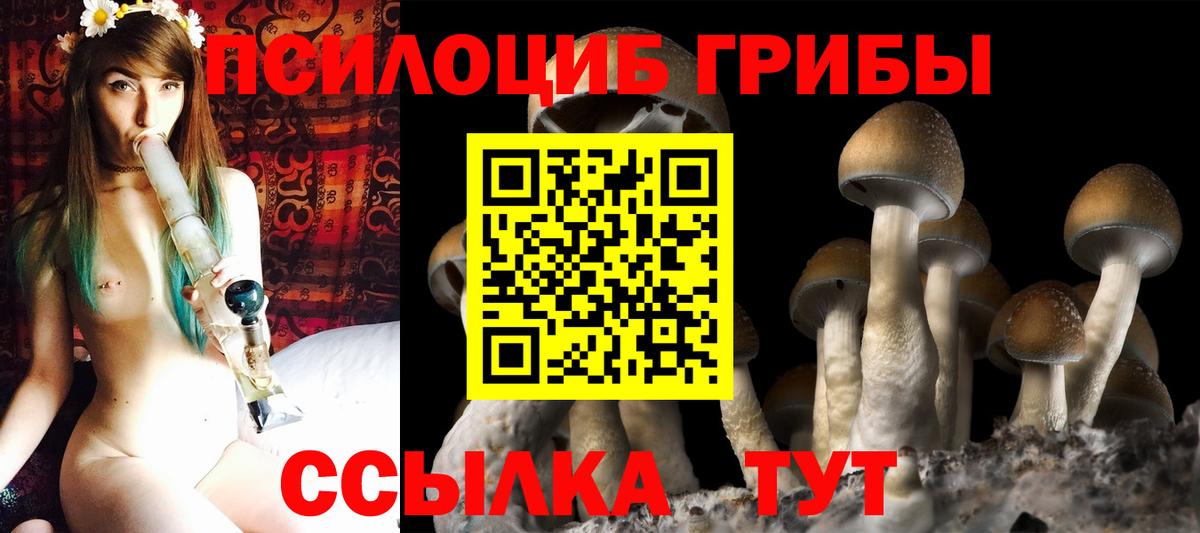Галлюциногенные грибы Magic Shrooms  Вход с VPN  что такое   Белогорск  Псилоцибиновые грибы MAGIC MUSHROOMS 