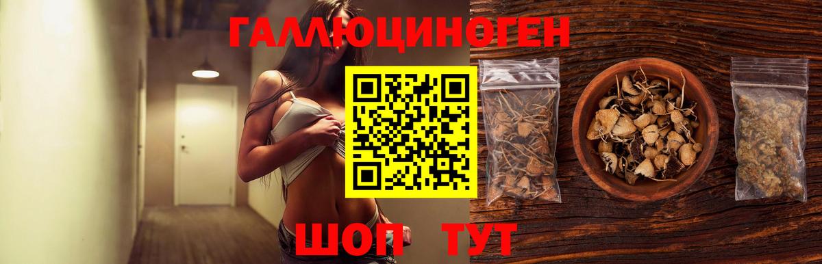 Галлюциногенные грибы мицелий Белогорск